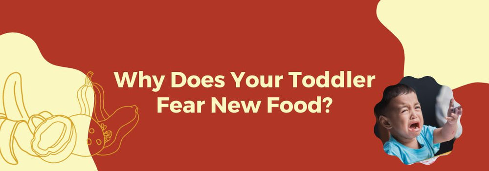 Why Does Your Toddler Fear New Food?