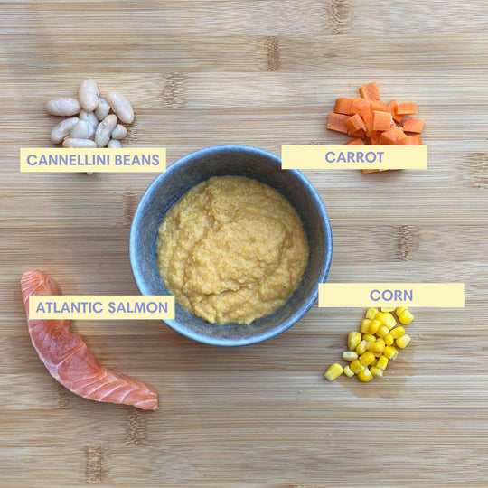 Salmon, White Bean & Carrot