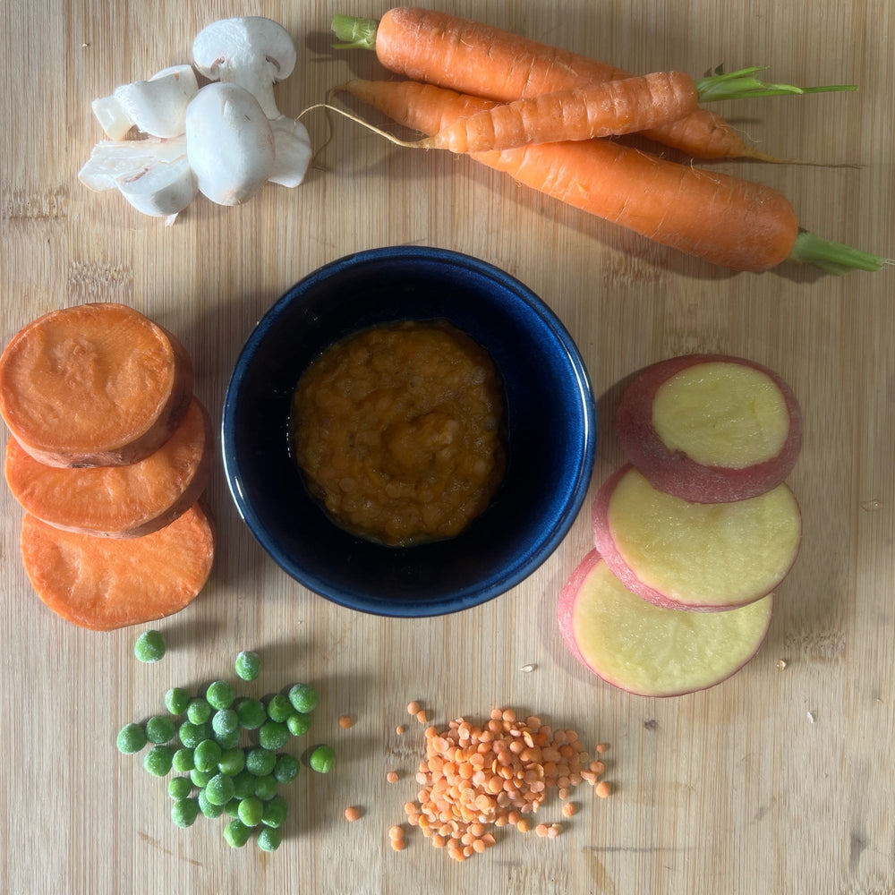 
                  
                    Lentil Shepard's Pie
                  
                