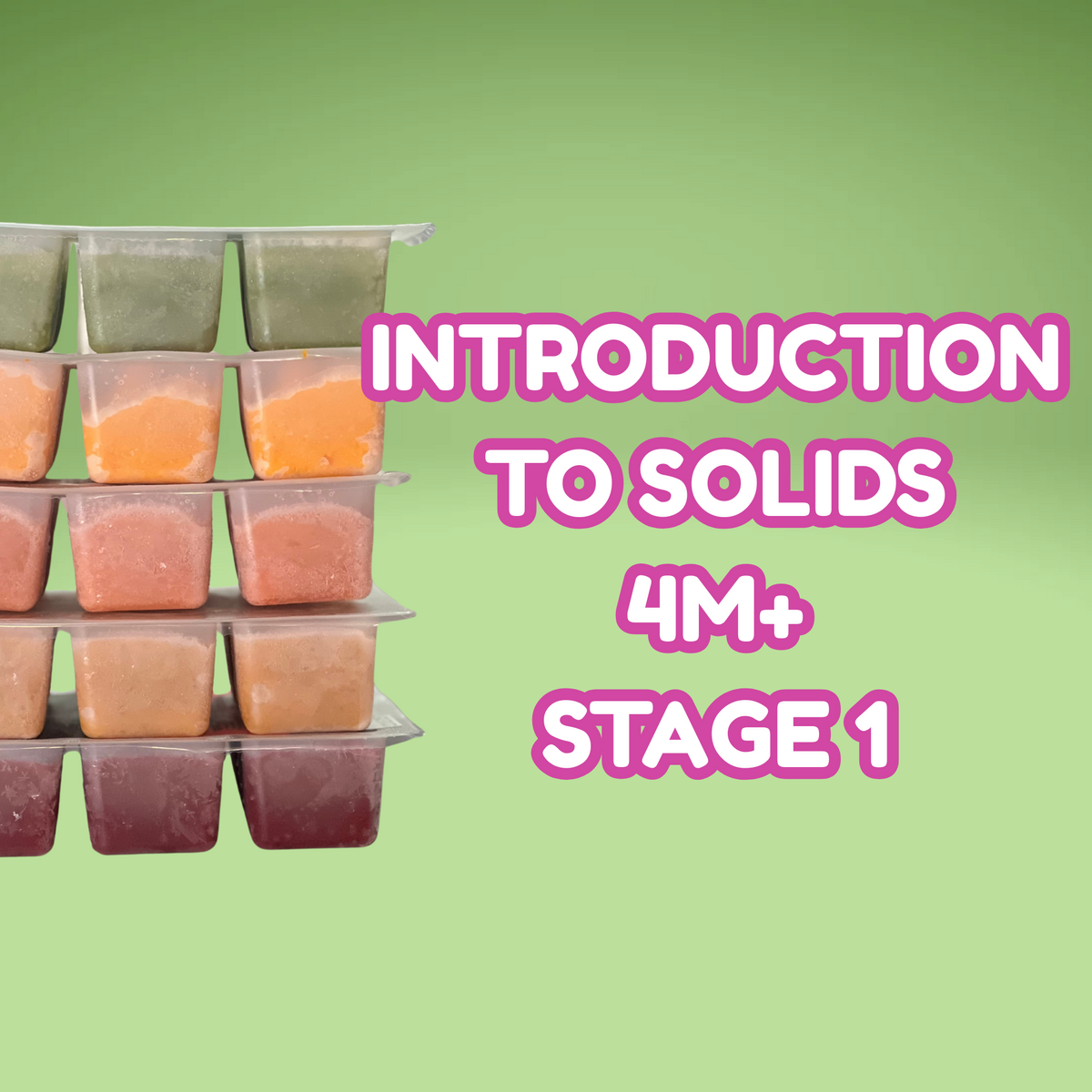 Puree Containers Introducing Solids – Tiny Beets Foods